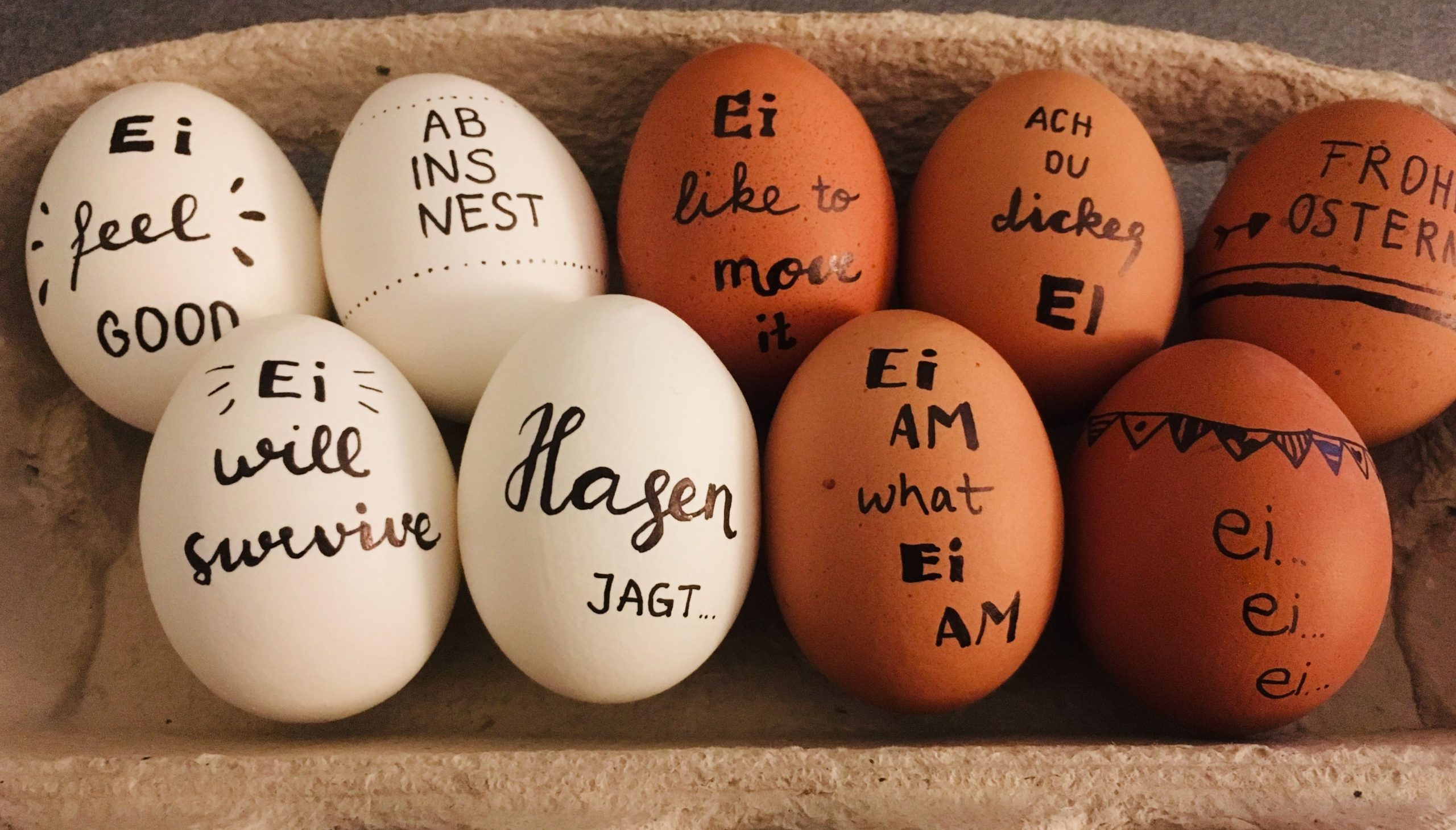 Das Mysterium der Eierschalen: Weiße vs. Braune Eier – Was steckt wirklich dahinter?